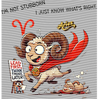 Constellation-XZ 176